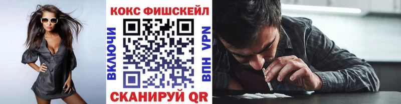 Кокаин Fish Scale  мега ССЫЛКА  Мурино 