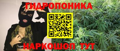молекула духа Новозыбков