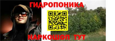 молекула духа Новозыбков
