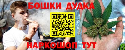 молекула духа Новозыбков