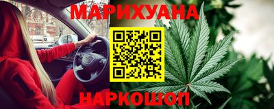 молекула духа Новозыбков