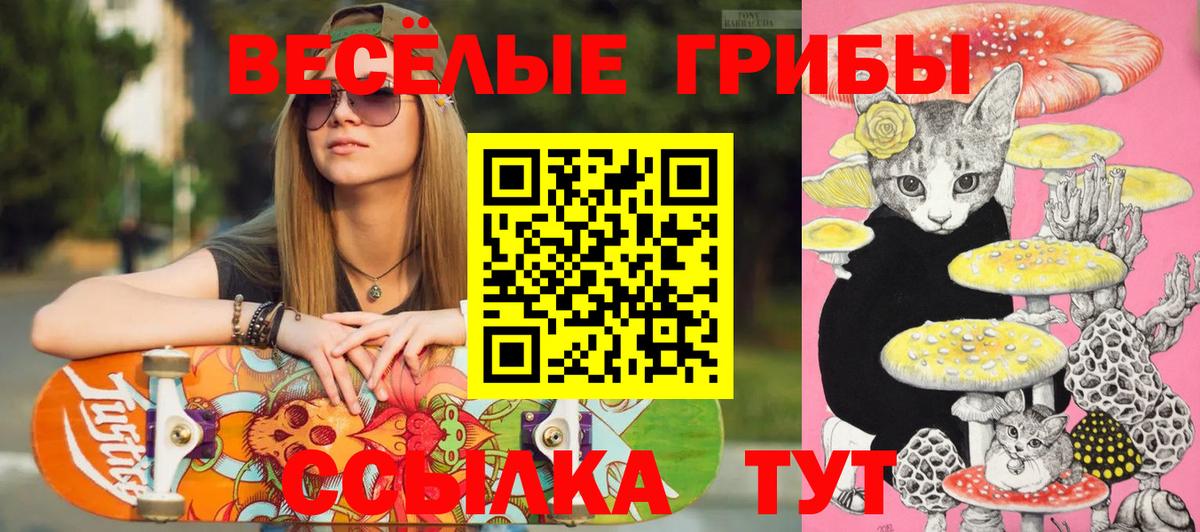 Галлюциногенные грибы Cubensis  даркнет сайт  Мурино  Вход с VPN 